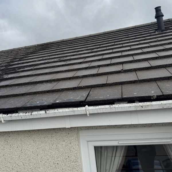 Professional Exterior Cleaning Solutions for Homes in Ayrshire