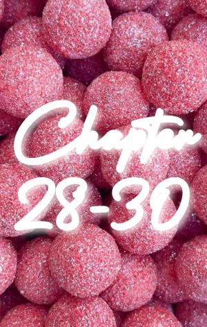 Chapter 28-30