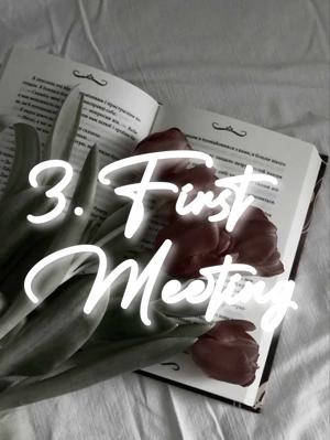 3. First Meeting