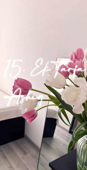 15. Ek tarfa Ashiq