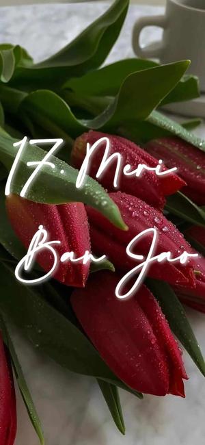 17. Meri Ban Jao