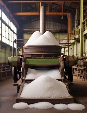 Sugar Manufacturing Plant Project Report 2024: Machinery Requirements, Plant Cost and Raw Material Requirements