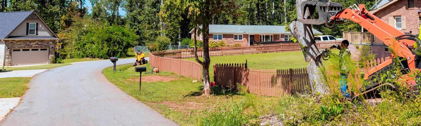 Tree Services Billings MT - Expert Tree Removal & Trimming