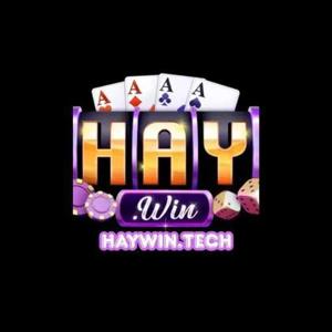Haywin tech logo