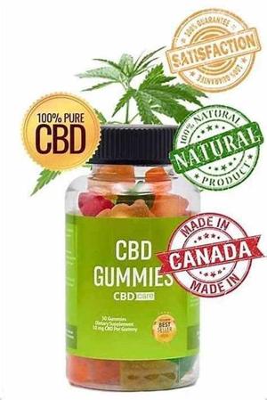  Seca Farms CBD Gummies