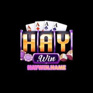 Haywin name logo