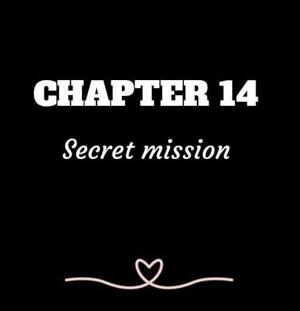 CHAPTER 14 | The secret mission
