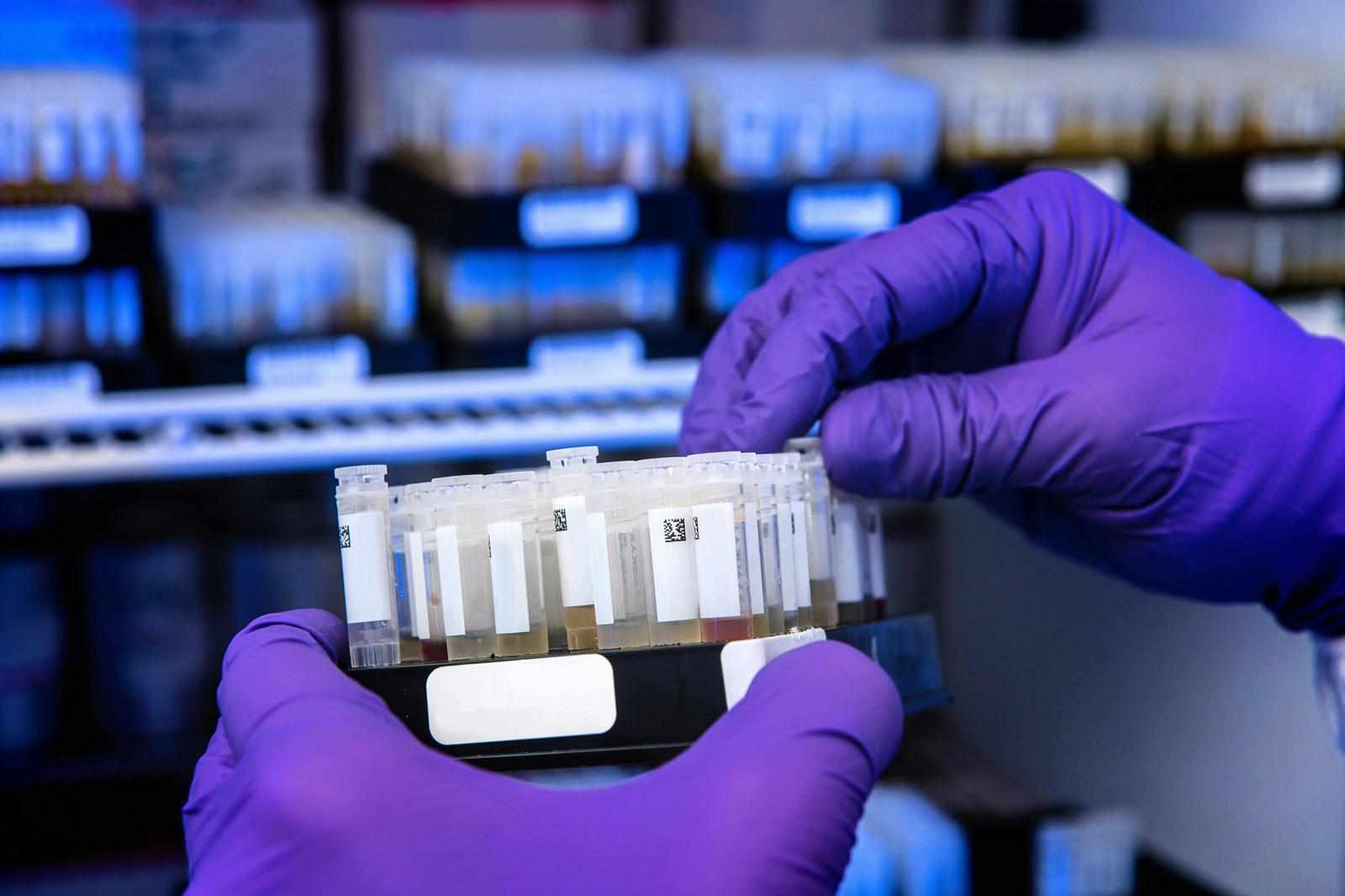 Epitalon FDA Status 2026: Epitalon and Emideltide (DSIP) at the PCAC Review, What Researchers Need to Know