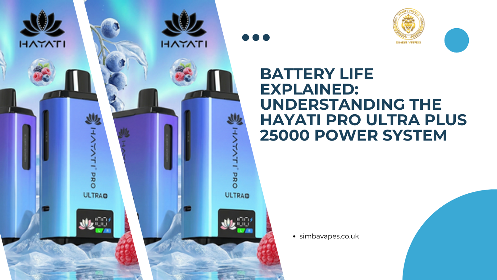 Battery Life Explained: Understanding the Hayati Pro Ultra Plus 25000 Power System