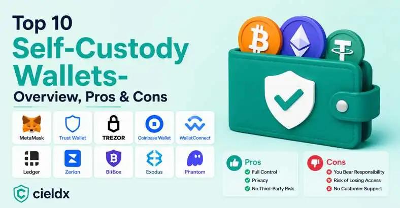 Top 10 Self-Custody Wallets- Overview, Pros & Cons