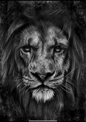 The King of the Jungle