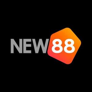 new88cam1