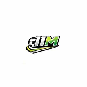 11M