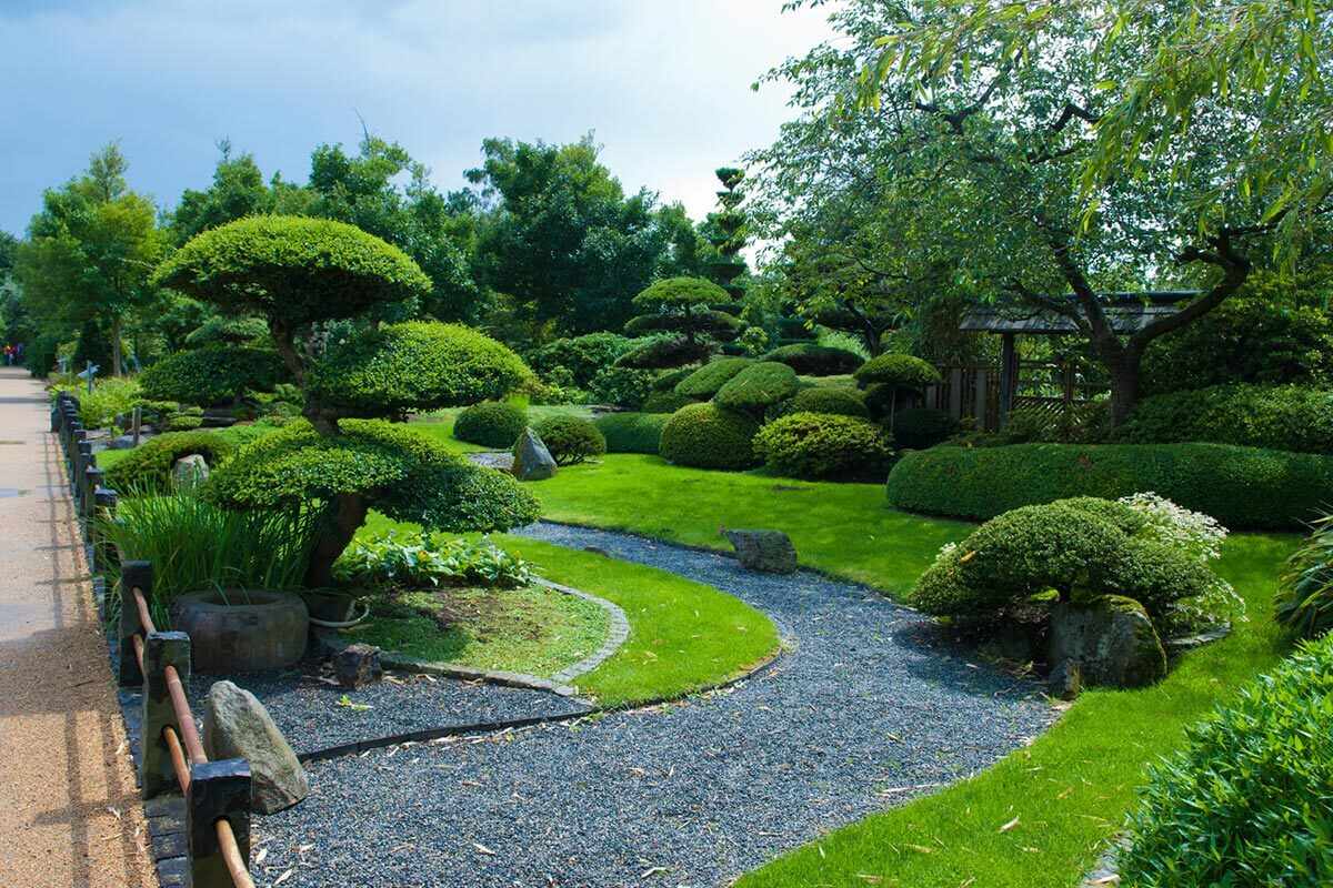 Why Regular Garden Maintenance Makes a Real Difference in Adelaide