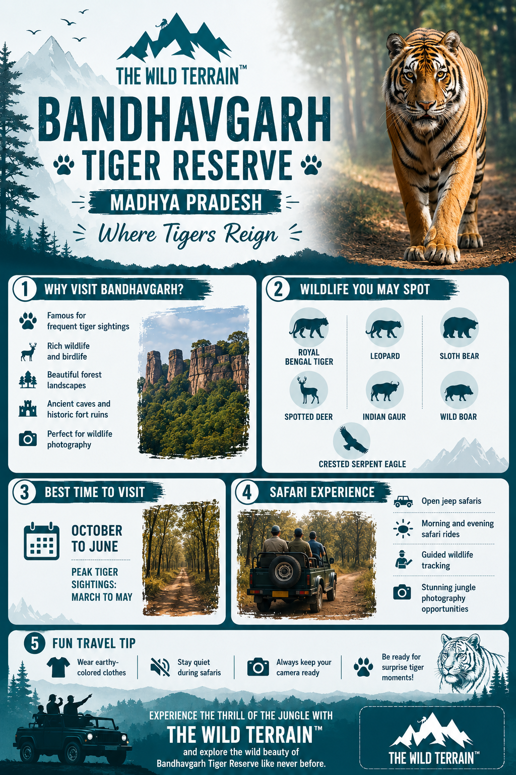 Bandhavgarh Tiger Reserve Madhya Pradesh Wildlife Safari Guide