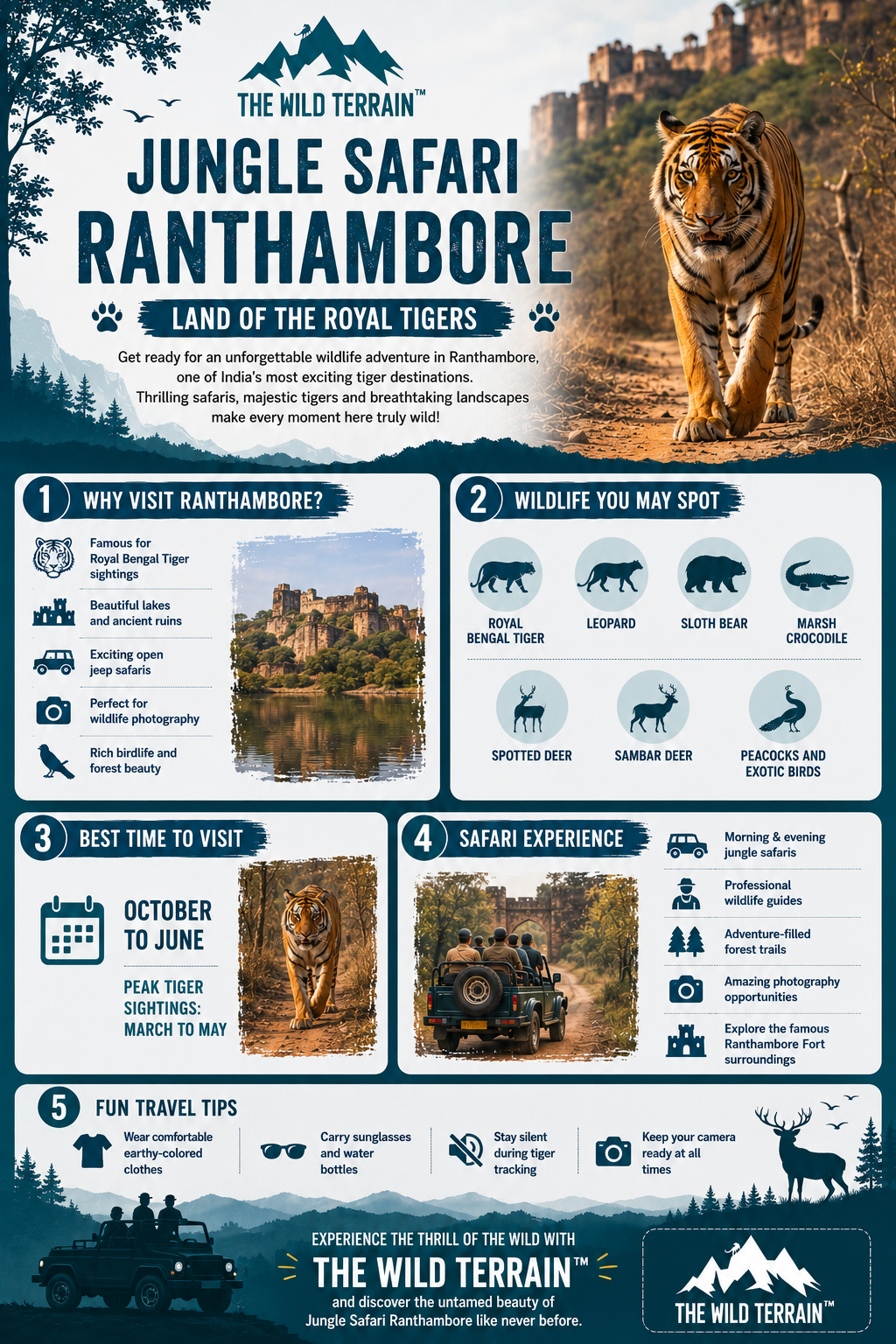 Jungle Safari Ranthambore Royal Tiger Adventure Guide