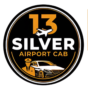 13 Silver Airport Cab logo