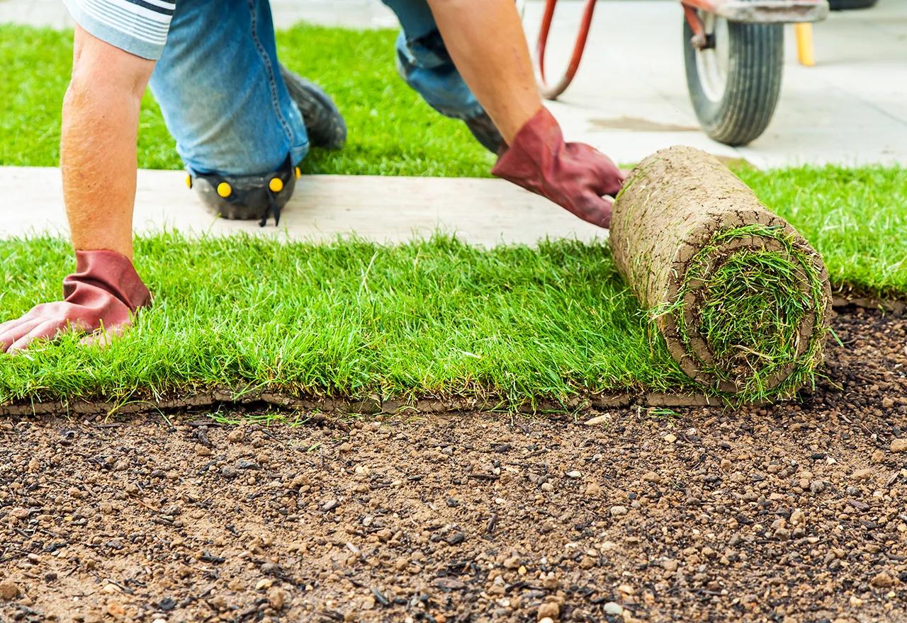 Artificial Turf Installation in Southlake TX and Sod Installation for a Healthy Green Lawn