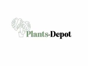 Plants Depot