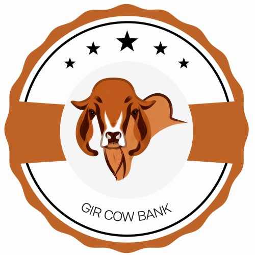 Gir Cow Bank
