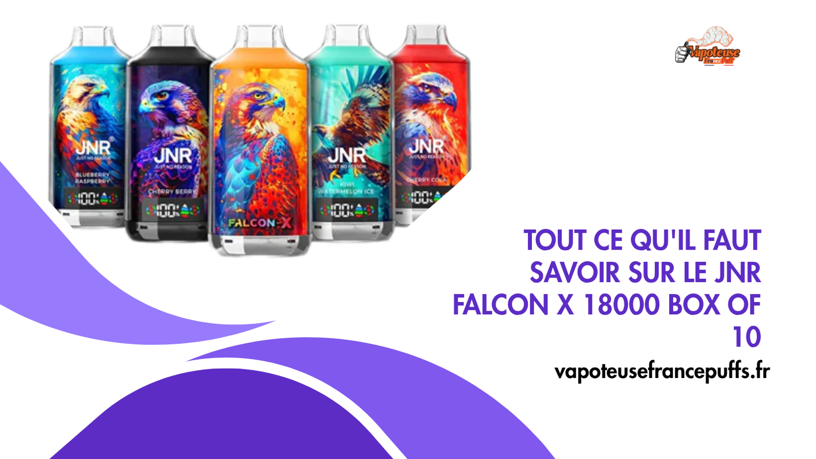 Tout ce qu'il faut savoir sur le JNR Falcon X 18000 box of 10