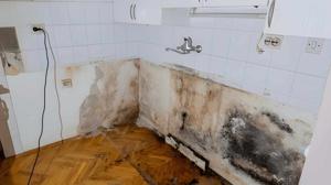 Could Hidden Moisture Be Damaging Your Home Without You Knowing?