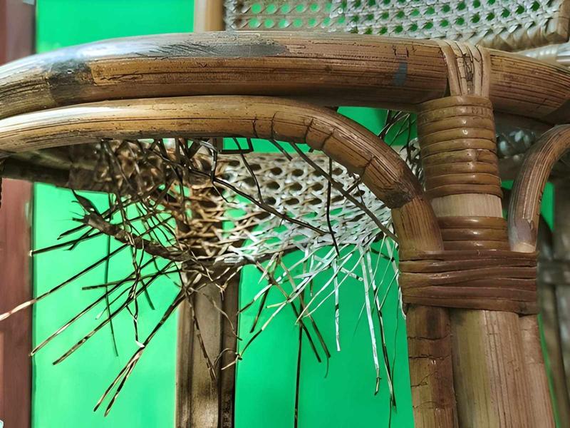 Why Is Preventive Care Better Than Repairing Wicker Furniture Later?