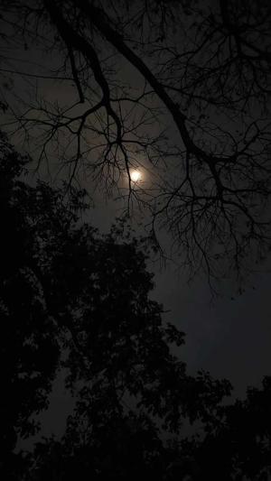 21. Things stayed after midnight