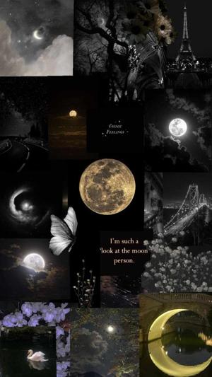40. A House called Home