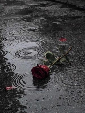 3. The Price Of Honour
