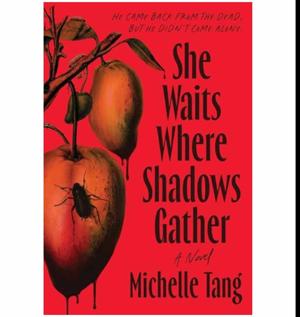 Unlock Now She Waits Where Shadows Gather by Michelle Tang