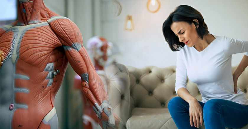 Muscular Dystrophy Stem Cell Treatment