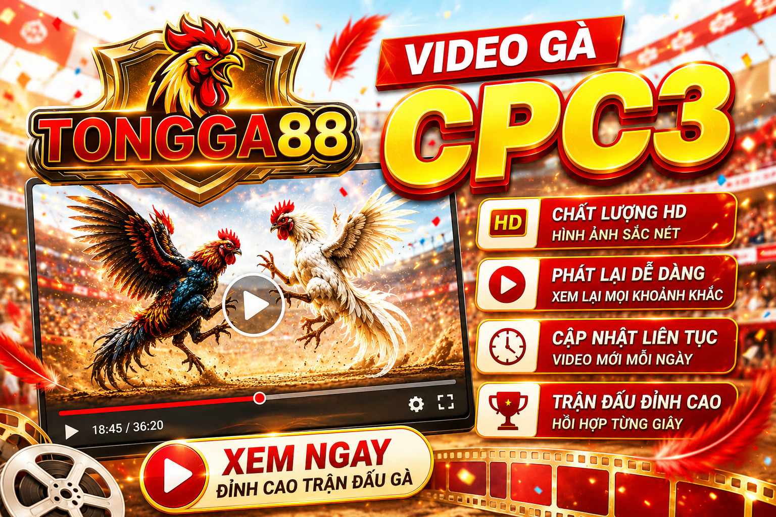 VIDEO GÀ CPC3 Và Xu Hướng Xem Đá Gà Trực Tiếp Trên Smartphone