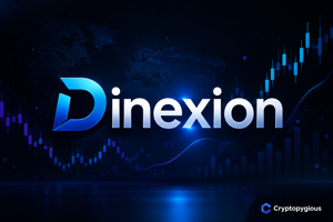 Dinexion Erfahrunge
