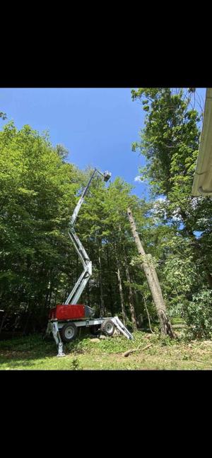 How to Choose a Tree Service Company in Storrs, CT?