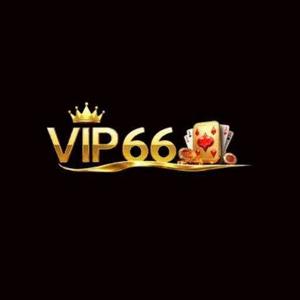 VIP66 logo