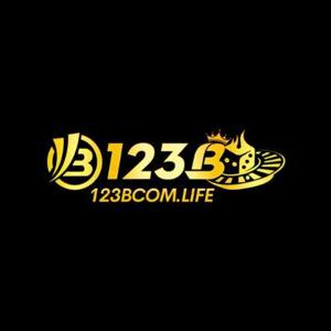 Nhà Cái 123B
