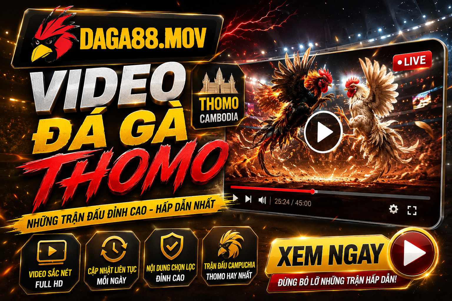 Video Đá Gà Thomo Trên DAGA88 Và Cách Tiếp Cận Nội Dung Video Hiệu Quả