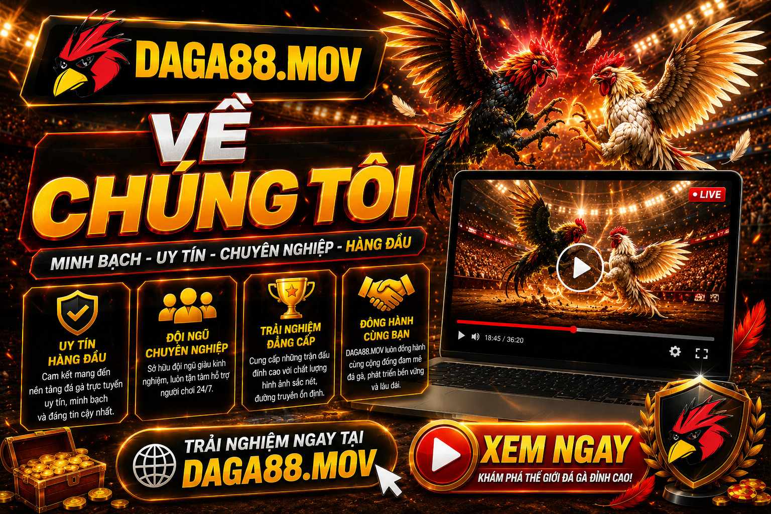 Về Chúng Tôi - Hành Trình Xây Dựng Giá Trị Của DAGA88