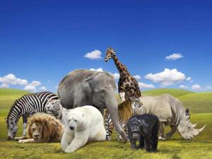 A DAY AT THE ZOO ORGIES WITH ANIMALS🔞🤬🔥🥵