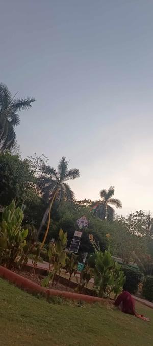 purvi logo