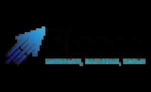 Seo Company in mumbai logo