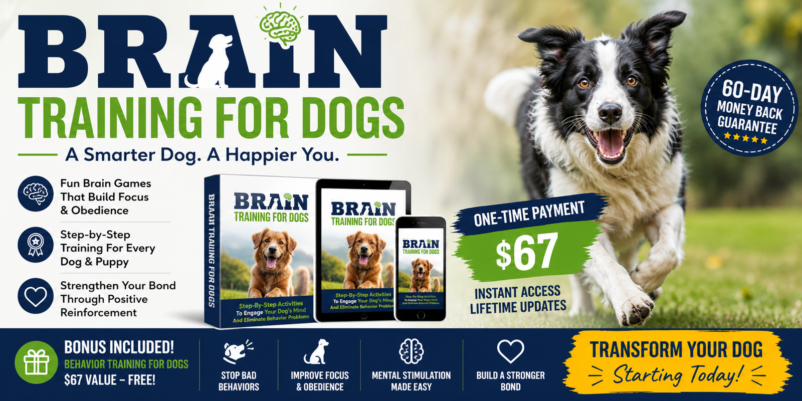 Brain Training For Dogs Review 2026: Can This Intelligence-Based Training System Really Transform Your Dog?