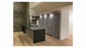 Luxury Kitchen Remodel in Bay Area: What Should I Pick Between Framed vs Frameless Cabinetry