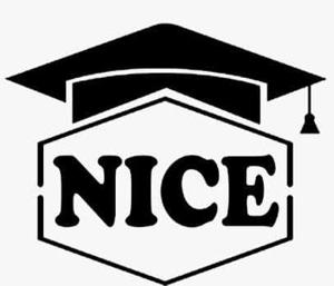 niceitservicess