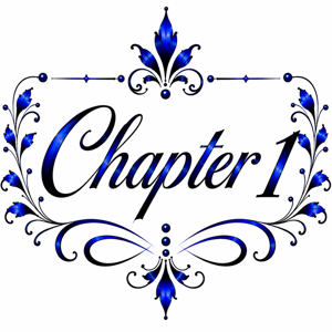 Chapter 1