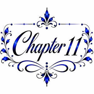 Chapter 11