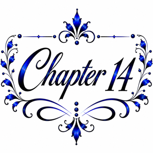 Chapter 14