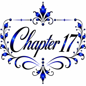 Chapter 17