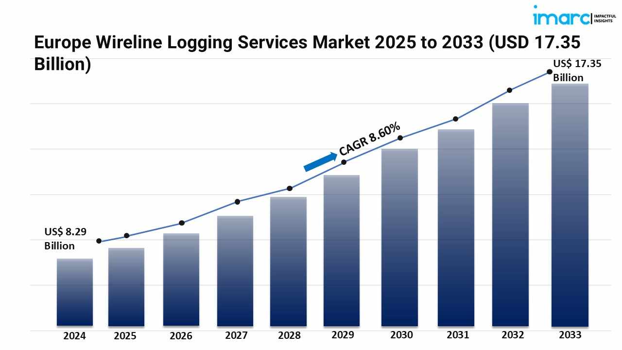 What Key Factors Are Highlighted in the Europe Wireline Logging Services Market Report 2025